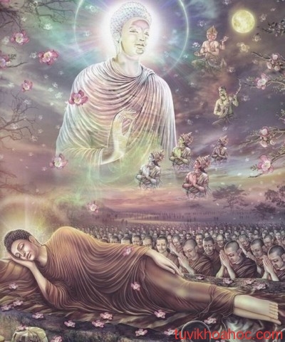17 duc phat nhap niet ban duoi hai cay sala Khám phá giấc mơ liên quan đến đạo Phật
